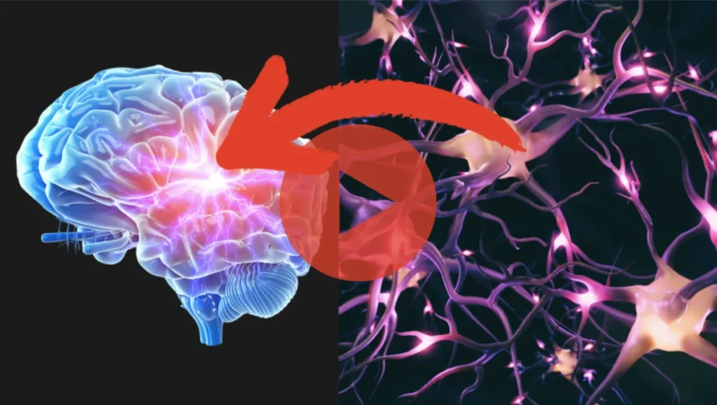 Why am I so forgetful lately at 45